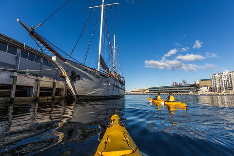 Hobart Kayak Tour - Attractions Perth 8