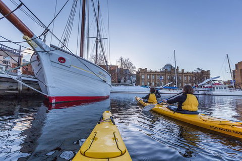 Hobart Kayak Tour - Attractions Perth 5