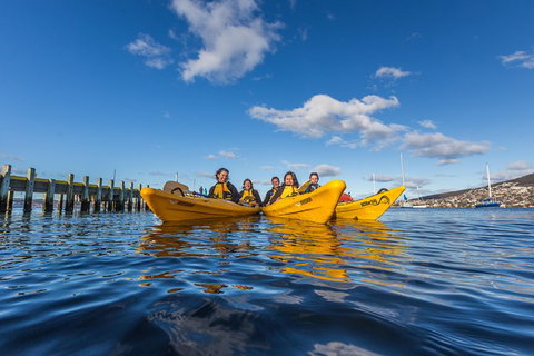 Hobart Kayak Tour - Attractions Perth 7