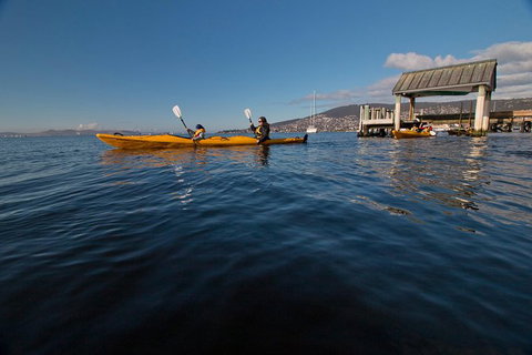 Hobart Kayak Tour - Attractions Perth 4