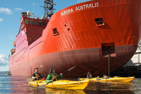 Hobart Kayak Tour - Attractions Perth 3