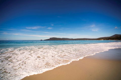 Private Bruny Island Nature Day Trip From Hobart - Attractions Perth 1