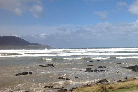 Private Bruny Island Nature Day Trip From Hobart - Attractions Perth 0