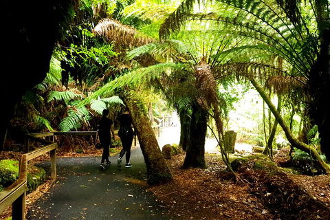 2-Day: Hiking Tour: Maria Island & Mount Field - Attractions Perth 4