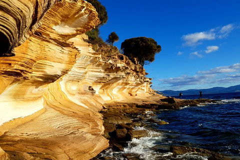 2-Day: Hiking Tour: Maria Island & Mount Field - Attractions Perth 7