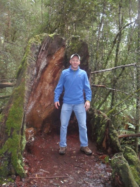 Mt Field National Park And Russell Falls From Hobart - Attractions Perth 6
