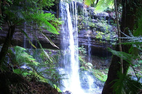 Mt Field National Park And Russell Falls From Hobart - Attractions Perth 1