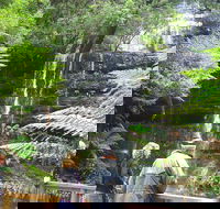 Mt Field National Park and Russell Falls from Hobart - Attractions Perth