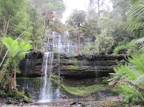 Mt Field National Park And Russell Falls From Hobart - Attractions Perth 4