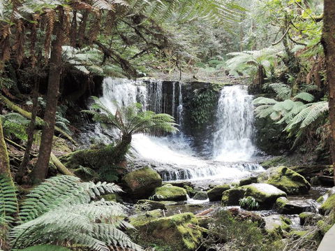 Mt Field National Park And Russell Falls From Hobart - Attractions Perth 2