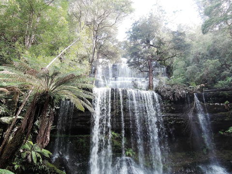 Mt Field National Park And Russell Falls From Hobart - Attractions Perth 3