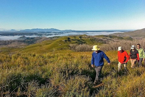 5-Day Tasmania West Coast Camping Tour: Hobart To Launceston Including Mount Field National Park, Tarkine And Cradle Mountain - Attractions Perth 1