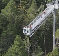 Cruise Ship Special from Hobart Mt Wellington and Tahune AirWalk - Attractions Perth