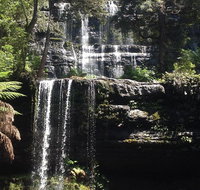 Private Mt Field National Park Day Trip from Hobart Including Salmon Ponds and Bonorong Wildlife Sanctuary - Attractions Perth