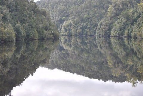 Gordon River Cruise Departing From Strahan - Attractions Perth 17