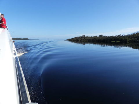 Gordon River Cruise Departing From Strahan - Attractions Perth 3