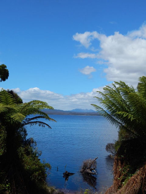 Gordon River Cruise Departing From Strahan - Attractions Perth 20