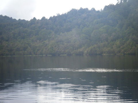 Gordon River Cruise Departing From Strahan - Attractions Perth 23