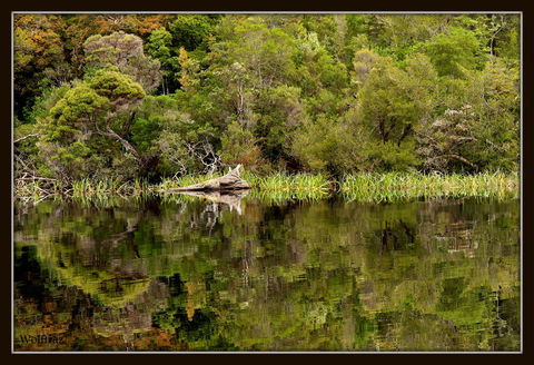 Gordon River Cruise Departing From Strahan - Attractions Perth 12