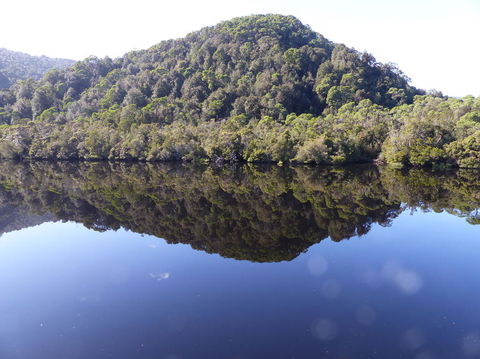 Gordon River Cruise Departing From Strahan - Attractions Perth 4
