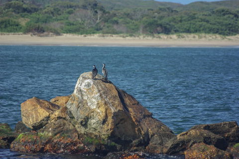 Gordon River Cruise Departing From Strahan - Attractions Perth 11
