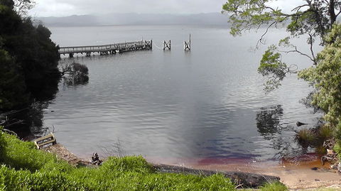 Gordon River Cruise Departing From Strahan - Attractions Perth 22