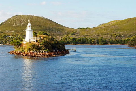 Gordon River Cruise Departing From Strahan - Attractions Perth 25