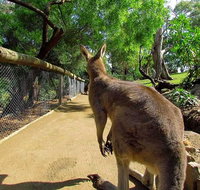 Wilderness and Wildlife - Attractions Perth