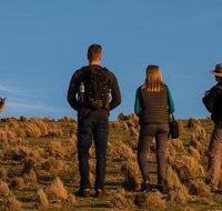 Small Group Tasmanias Wilderness And Wildlife Day Tour - Attractions Perth