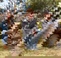 Bonorong Wildlife Park and Richmond Afternoon Tour from Hobart - Attractions Perth
