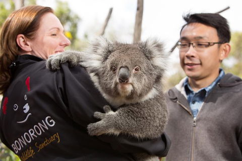 Bonorong Wildlife Park And Richmond Afternoon Tour From Hobart - Attractions Perth 7