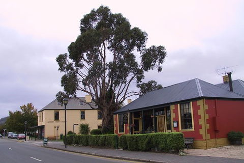 Bonorong Wildlife Park And Richmond Afternoon Tour From Hobart - Attractions Perth 8