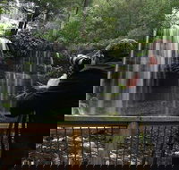 Mt Field and Styx Valley Photography Tour - Attractions Perth