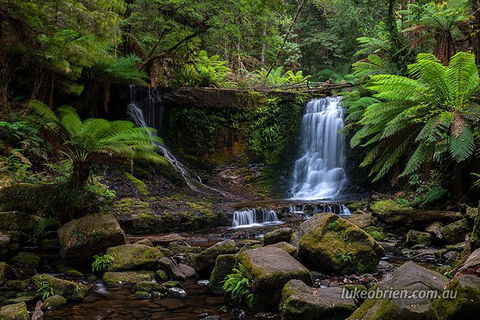 Mt Field And Styx Valley Photography Tour - Attractions Perth 3