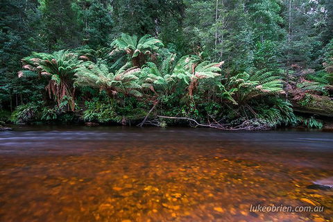Mt Field And Styx Valley Photography Tour - Attractions Perth 7