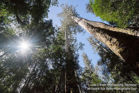 Mt Field And Styx Valley Photography Tour - Attractions Perth 4