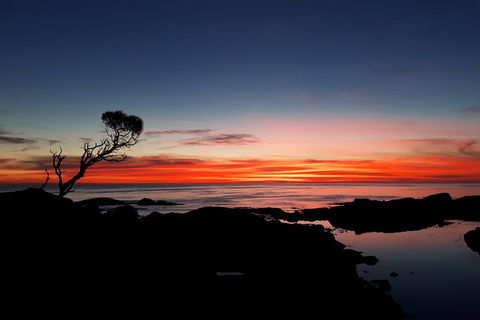 3-Day Bay Of Fires Photography Workshop From Hobart - Attractions Perth 5