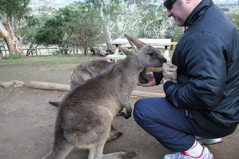 Small-group Tour From Hobart: Native Flora And Fauna, Incl. Royal Bot. Gardens - Attractions Perth 1