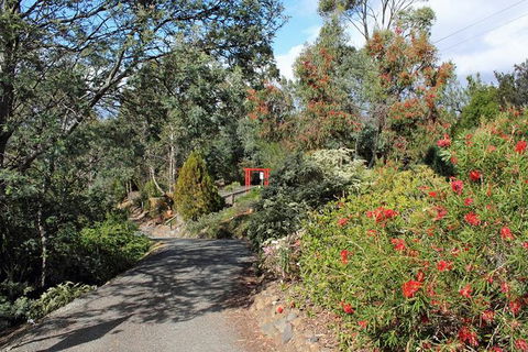 Small-group Tour From Hobart: Native Flora And Fauna, Incl. Royal Bot. Gardens - Attractions Perth 11