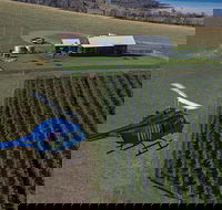 Bangor Vineyard Shed Helicopter Tour - Attractions Perth