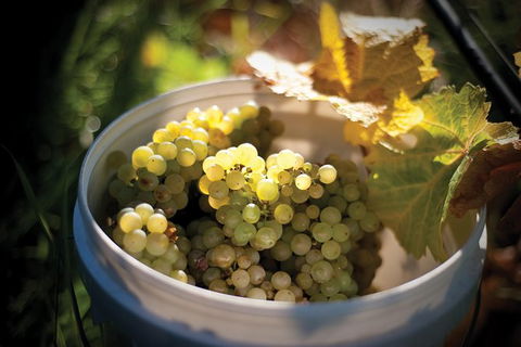 Private Richmond Food And Wine Day Trip From Hobart - Attractions Perth 1