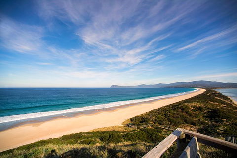 Private Bruny Island Food And Wine Day Trip From Hobart - Attractions Perth 1