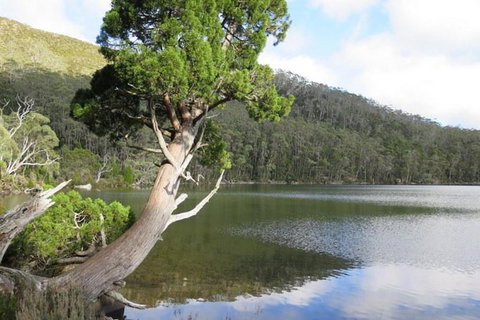 2-Day: Hobart Hiking Tour: Cape Raoul And Mount Field - Tarn Shelf - Attractions Perth 3