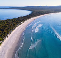 Maria Island Cruise  Walk. Renowned day tour with drinks and guided walk - Attractions Perth