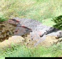 Day Keeper Tour - Attractions Perth