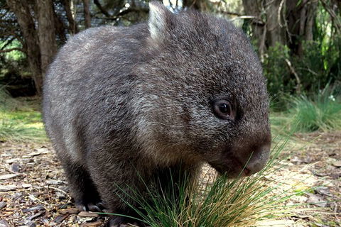 Day Keeper Tour - Attractions Perth 5