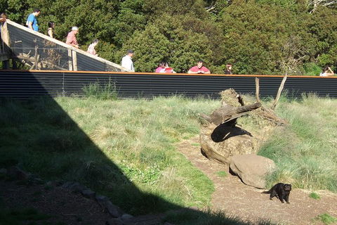 Day Keeper Tour - Attractions Perth 7