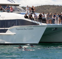 The Peppermint Bay Lunch Cruise from Hobart - Attractions Perth