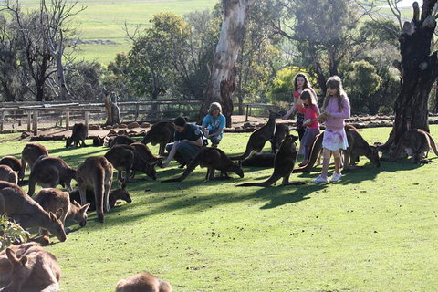 The Port Arthur MEGA Day Trip From Hobart - Attractions Perth 5
