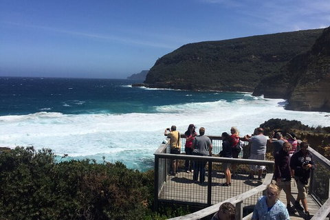 The Port Arthur MEGA Day Trip From Hobart - Attractions Perth 4